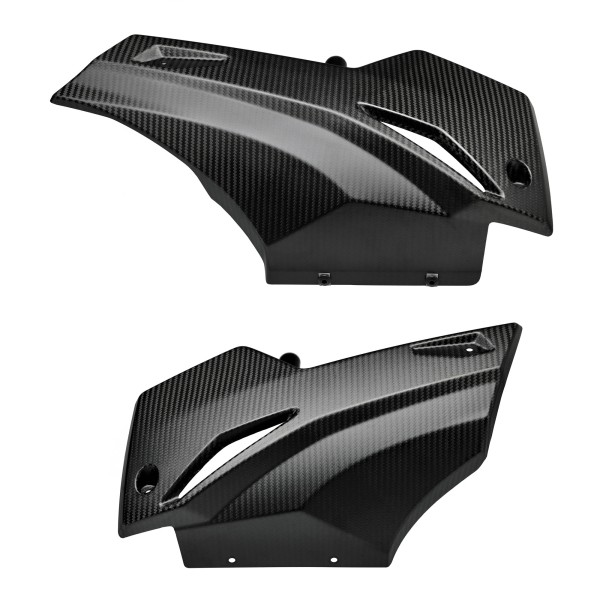 Bugspoiler Carbon für Aprilia RS 660 (20-23)