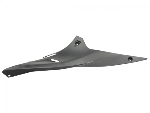 Seitenverkleidung, Carbon, links für Aprilia RSV4 RR/RF/ Tuono V4